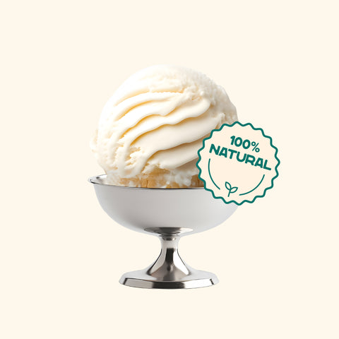 gelato
best gelato in delhi/ncr
vegan gelato
plant based ice cream
natural ice cream